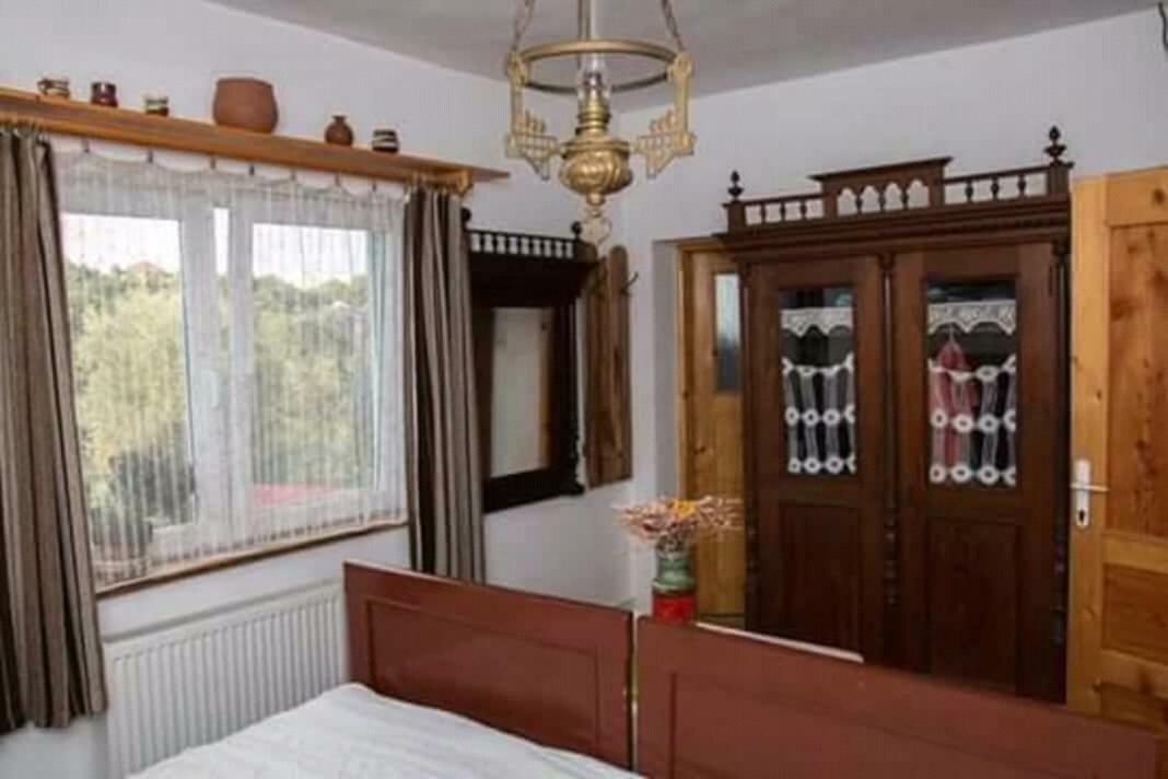 Pensiunea Bordas Panzio Sfântu-Gheorghe Εξωτερικό φωτογραφία